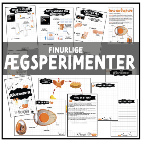 ÆGsperimenter - Emnepakke