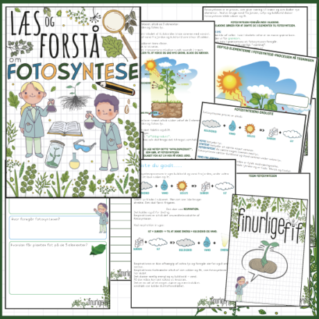 Fotosyntesen - Emnepakke