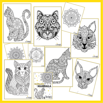 Fastelavnskatte - Mandala