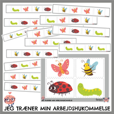 Arbejdshukommelse - Sekvenser, Insekter