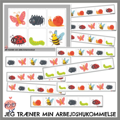 Arbejdshukommelse - Sekvenser, Insekter