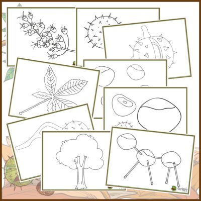 Farvelæg finurlige kastanjer - nemme tegninger