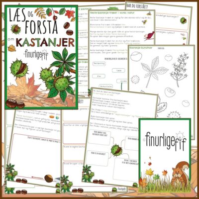 LæsogForstå - Kastanjer