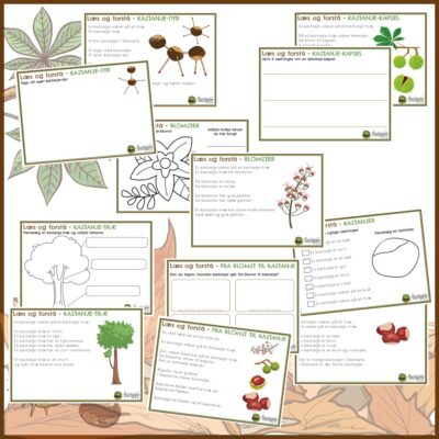 Læsekort for de mindste - Læs og forstå kastanjer Læsekort for de mindste - Læs og forstå kastanjer