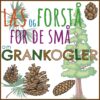 LæsogForstå - for de små - Grankogler
