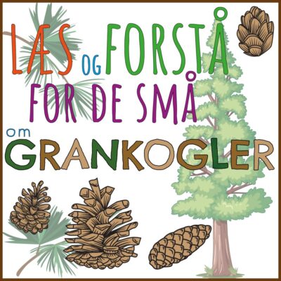 LæsogForstå - for de små - Grankogler