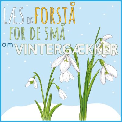 LæsogForstå - for de små - Vintergækker LæsogForstå - for de små - Vintergækker