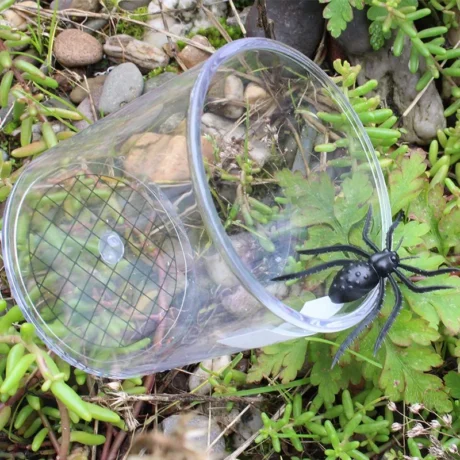 Insektglas med forstørrelsesglas - 2 forstørrelseslinser i låget