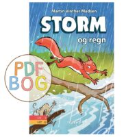 Storm #2: Storm og regn