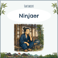 Faktakort - Ninjaer - Indskoling