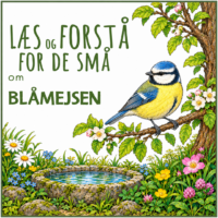 LæsogForstå - for de små - Blåmejsen