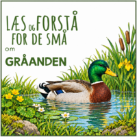 LæsogForstå - for de små - Gråanden