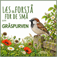 LæsogForstå - for de små - Gråspurven