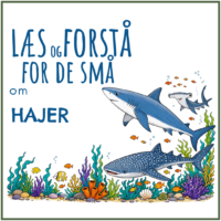 LæsogForstå - for de små - Hajer