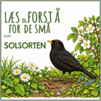 LæsogForstå - for de små - Solsorten