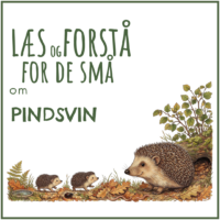 LæsogForstå - for de små - Pindsvin
