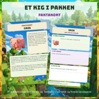 Faktakort om grisen med læseside og opgaveside side om side