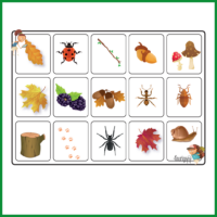 Naturbingo - Efterår