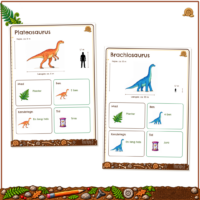 Faktakortene om Plateosaurus og Brachiosaurus med de fire faste bokse mad, ben, kendetegn og tid, og et menneske til højdesammenligning