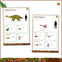 Faktakortene om Ankylosaurus og Velociraptor med de fire faste bokse og en silhuet af et menneske ved siden af dyret