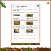 Opgavearket På opdagelse med seks tællefelter, hvor barnet skriver tal eller tegner prikker for det, det finder i myldrebilledet