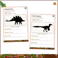 Målekortene Stegosaurus og Velociraptor med længde i meter og centimeter og en silhuet på gitter