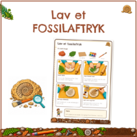 Forside til Lav et fossilaftryk med en ammonit i sten, en lup og en pensel ved siden af aktivitetsarket
