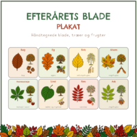 Forside til plakaten med otte håndtegnede efterårsblade under overskriften Efterårets blade