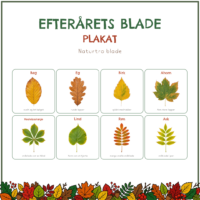 Forside til den naturtro plakat med otte efterårsblade under overskriften Efterårets blade