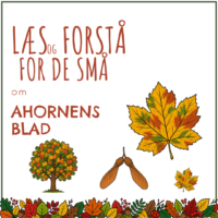 Forside til hæftet om ahornens blad med et femlappet ahornblad, et højt ahorntræ og to vingefrugter