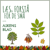 Forside til hæftet om askens blad med småblade i par på en fælles stilk, et højt asketræ og vingefrugter