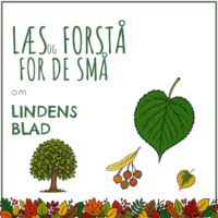 Forside til hæftet om lindens blad med et hjerteformet lindeblad, et lindetræ og nødder ved et vingeblad