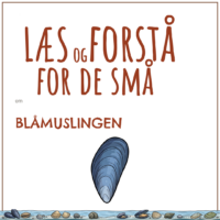 Forsiden til LæsogForstå - for de små om blåmuslingen med en tegning af blåmuslingen