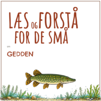 Forsiden til LæsogForstå - for de små om gedden med en tegning af dyret ved søens bred