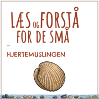 Forsiden til LæsogForstå - for de små om hjertemuslingen med en tegning af hjertemuslingen