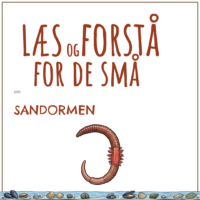 Forsiden til LæsogForstå - for de små om sandormen med en tegning af sandormen