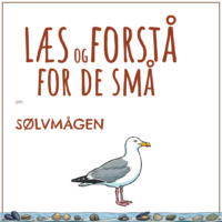 Forsiden til LæsogForstå - for de små om sølvmågen med en tegning af sølvmågen