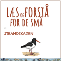 Forsiden til LæsogForstå - for de små om strandskaden med en tegning af strandskaden