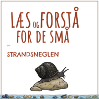 Forsiden til LæsogForstå - for de små om strandsneglen med en tegning af strandsneglen