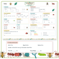A3-arkets første side til Insekter og smådyr 3 med seksten opgaver og Naturcentrets butik vist stort