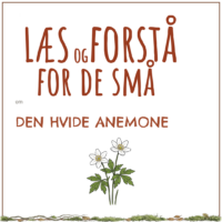 LæsogForstå - for de små - Den hvide anemone