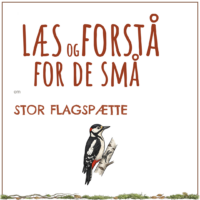 LæsogForstå - for de små - Stor flagspætte