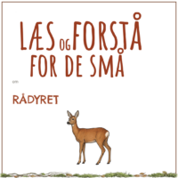 LæsogForstå - for de små - Rådyret