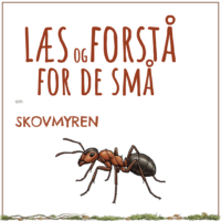 LæsogForstå - for de små - Skovmyren