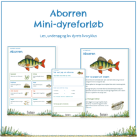 Forsiden til mini-dyreforløbet om aborren med forløbets seks elevsider bagved