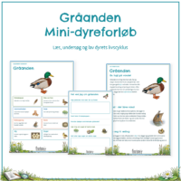 Forsiden til mini-dyreforløbet om gråanden med forløbets seks elevsider bagved