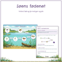 Forsiden til Søens fødenet med vejledningen og et fødenet, hvor pile forbinder alger, dafnie, aborre og gedde