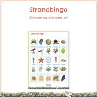 Forsiden til Strandbingo med bingopladen bagved