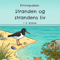 Forsiden til emnepakken Stranden og strandens liv med en tegnet strand, hvor en strandskade går i sandet ved vandkanten mellem muslinger, tang og en søstjerne