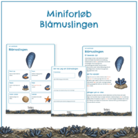 Forsiden til miniforløbet om blåmuslingen med forløbets elevsider bagved